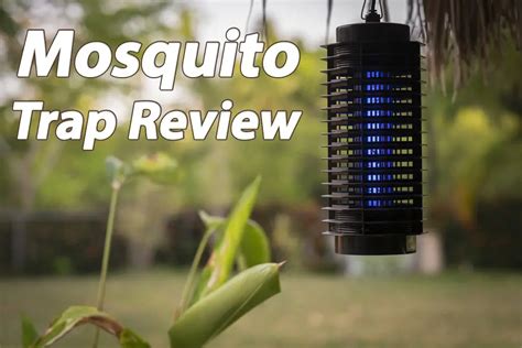 An In-Depth Look at Magic Mesh Mosquito Traps: Ratings and Reviews